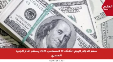 سعر الدولار اليوم الثلاثاء 19 أغسطس 2025 يستقر أمام الجنيه المصري